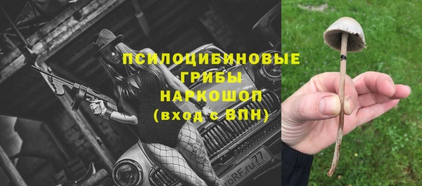 a pvp Тобольск