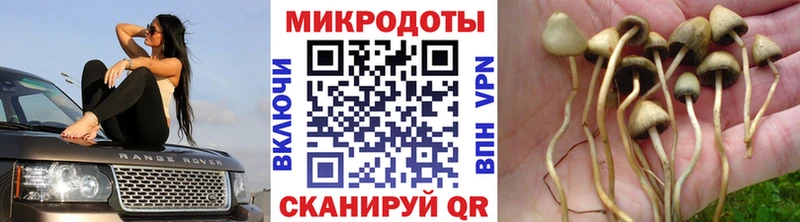 Купить где  Подпорожье  Галлюциногенные грибы прущие грибы 